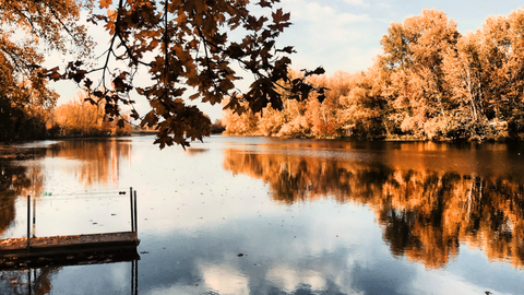 When and How to Use UltraClear Autumn Prep and Winter Blend for Fall and Winter Pond Care