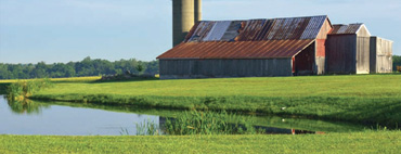 Farm Pond Treatment