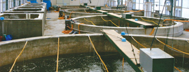 Fish Farms & Hatcheries