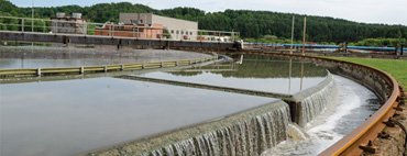 Wastewater Nitrification