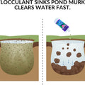 Illustration showing UltraClear Flocculant binding suspended pond particles into larger clumps that settle to the bottom