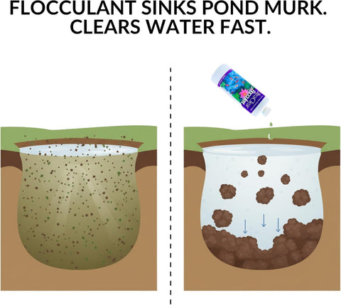 Illustration showing UltraClear Flocculant binding suspended pond particles into larger clumps that settle to the bottom