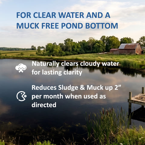 Large Pond Treatment Kit for Clear Water & Muck Free Bottom