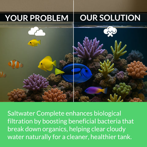 Saltwater Complete – Live Nitrifying Bacteria Blend for Saltwater & Reef Aquariums - Instant Cycle Marine Tank Starter - Removes Ammonia Nitrite - Clarifier - Safe for Fish Coral Invertebrates