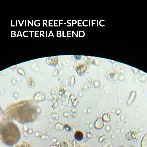 Saltwater Complete – Live Nitrifying Bacteria Blend for Saltwater & Reef Aquariums - Instant Cycle Marine Tank Starter - Removes Ammonia Nitrite - Clarifier - Safe for Fish Coral Invertebrates