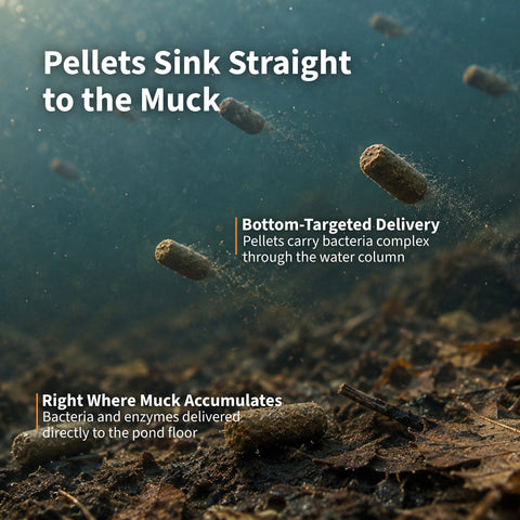 Cold Water Beneficial Bacteria Muck & Sludge Remover Pellets - Active 32°F–55°F